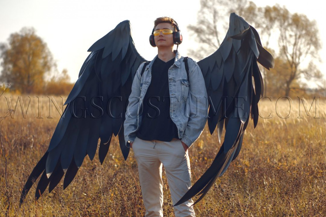 Black wings outlet costume